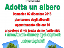 adotta un alberto